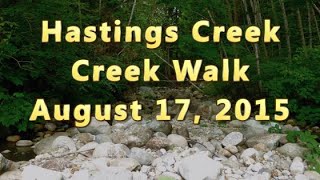 Hastings Creek Streamwalk.mp4