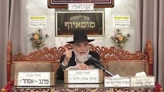 הרב יוסף רביבו  | פלא יועץ | מוסאיוף