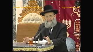 מרן רבנו עובדיה יוסף זצוק"ל זיע"א מוצאי ראש השנה תשס"ג המקדים הגאון הרב ראובן אלבז שליט"א (דר וסוחרת - הלוויין של מרן) - התמונה מוצגת ישירות מתוך אתר האינטרנט יוטיוב. זכויות היוצרים בתמונה שייכות ליוצרה. קישור קרדיט למקור התוכן נמצא בתוך דף הסרטון מרן רבנו עובדיה יוסף זצוק"ל זיע"א מוצאי ראש השנה תשס"ג המקדים הגאון הרב ראובן אלבז שליט"א (דר וסוחרת - הלוויין של מרן) - התמונה מוצגת ישירות מתוך אתר האינטרנט יוטיוב. זכויות היוצרים בתמונה שייכות ליוצרה. קישור קרדיט למקור התוכן נמצא בתוך דף הסרטון