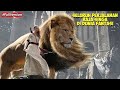 FULL VERSION Seluruh Perjalanan Raja Singa Di Dunia Fantasi Alur Cerita Film