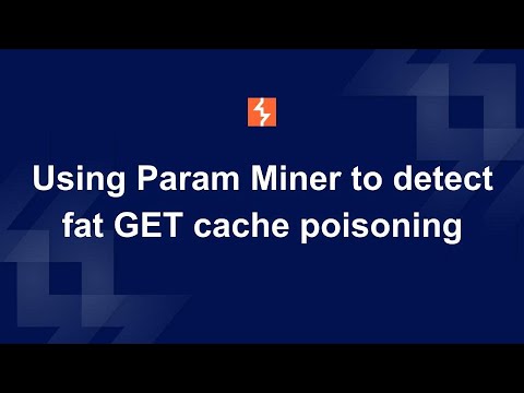 Param Miner demo video