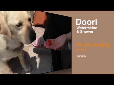 Doori Watermelon&Shower