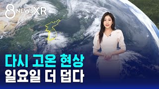 [날씨/XR] 다시 고온 현상..일요일 더 덥다 / SBS 8뉴스