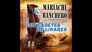 No Seas Ingrata - Los Cadetes de Linares