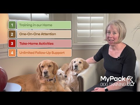 MyPack Dog Training & Boarding video.