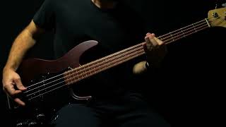 Video thumbnail for ESP LTD AP-204 October 2022 by Brendan Breakdown
