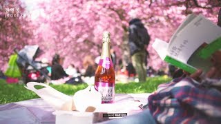 파리 브이로그, 벚꽃 피크닉 다녀오다! parc de sceaux/젠엔콩