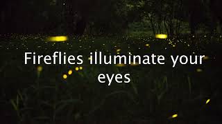 Finch - Fireflies lyrics
