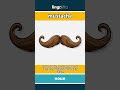 mustache - a strip of hair that grows... video thumbnail