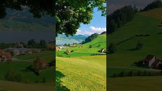 Download lagu pemandangan indah #pemandangan #view #mountains #foryou #hijau #alam #suaraburung #damai mp3