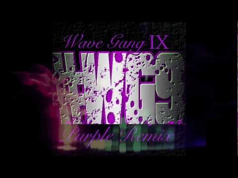 WG9 PURPLE REMIX #21 PAID FOR SHOWS - MAX B