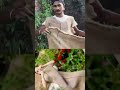 Raaz Chaudhary Urfi Javed Funny Dress Urfijaved Mimicry Raazchaudhary Youtubeshorts Funny