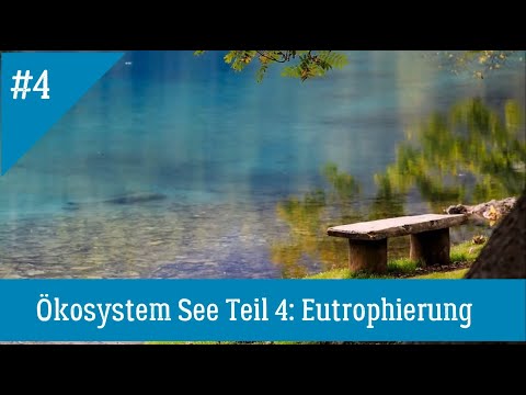 Ökologie: Ökosystem See (Teil 4) Eutrophierung, einfach und richtig erklärt