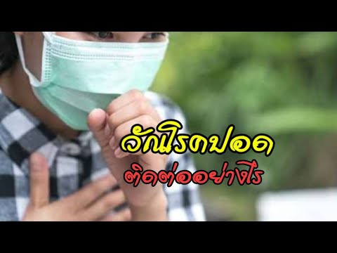 สตรีเชื้อโรคสภา ทำหน้าที่เป็นกุหลาบป่าแรง