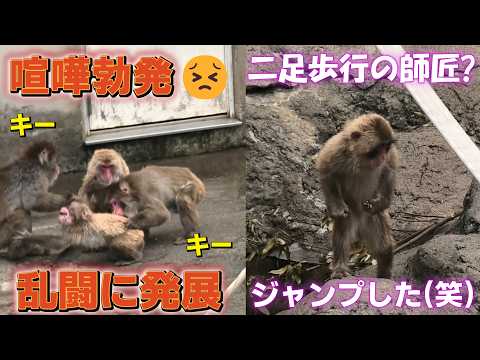 パンチくん」のYahoo!リアルタイム検索 - X（旧Twitter）を