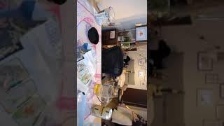 【木下ゆうか】猫に掃除機を向ける