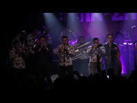 MR ŽARKO feat. BOJAN KRSTIĆ ORKESTAR - I Will Drink /// live in SO36, Berlin 2017