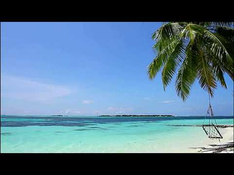 Pine and Ginger - Amindi, Tessellated & Valleyz (Slowed and Reverbed)