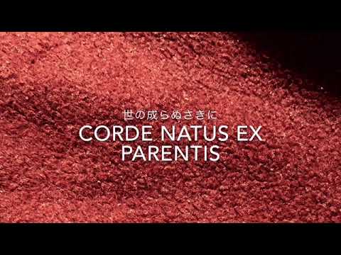 Corde natus ex Parentis (Harmonica)