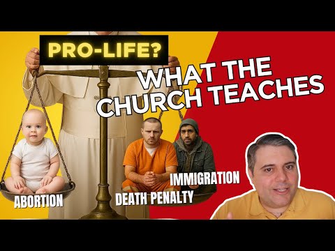 Pope Leo Is Right: What the Church *Really* Teaches About Being Pro-Life