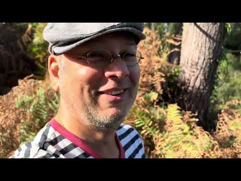 Descending the Magical cliffs to Oleiros Beach #travel #spain #travelvlog #nature #sea #food 