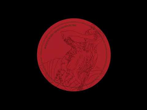 Mateo Hurtado  -  As Seen From An Insurmountable Distance