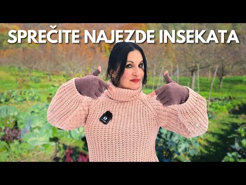 Prevent Insect INFESTATIONS - Implement This Planting System