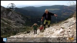 preview picture of video 'Dolomiti Doc Alpago - filmato completo'