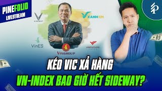Xu hướng của VN-Index trong thời gian tới như thế nào? | Livestream Pinefolio