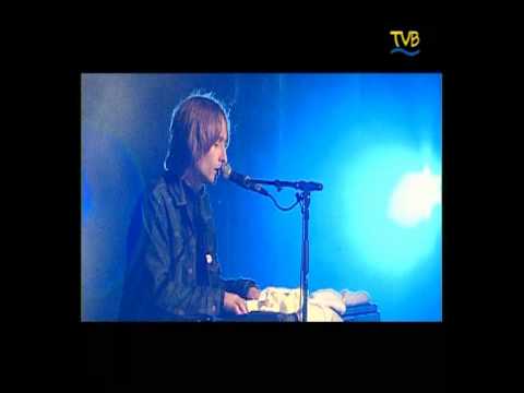 The Divine Comedy - 08 The Dogs and the Horses (La Route Du Rock 2002)