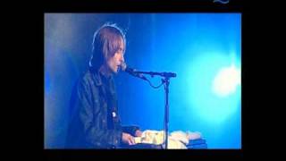 The Divine Comedy - 08 The Dogs and the Horses (La Route Du Rock 2002)