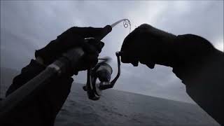 秋のロックショア