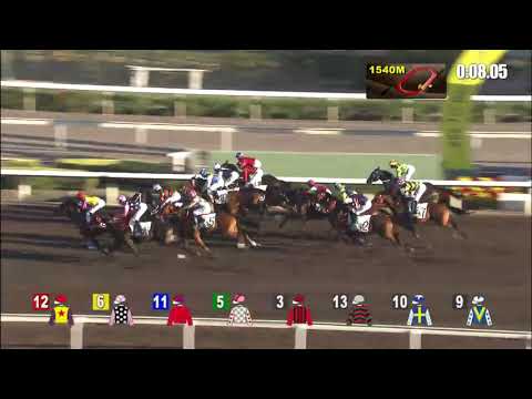 逍遙自在20/12/26……(303)第九塲二班1650泥