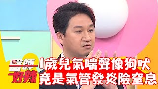 1歲兒氣喘聲音像狗吠！竟是氣管發炎險窒息？！【#醫師好辣】20230401 part1 EP1518 篠崎泫 魏智偉