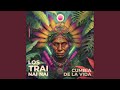 Cumbia de la Vida (feat. Camino Rojo, Bufeo, Kuntur Wasi, Gajumaru Sol, Pito Pantera & Sachamama)