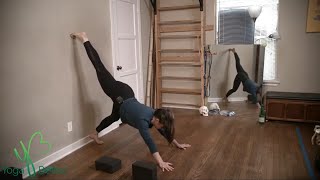 Level 2:  Wednesday  Oct 28th  11am (ANDRIA)