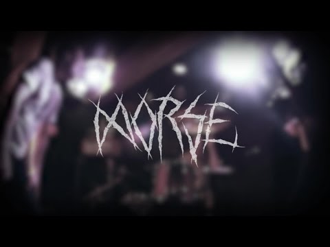 Morse - Lies and Greed [live video]