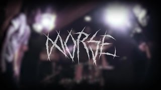 Morse - Lies and Greed [live video]