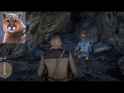 RED DEAD REDEMPTION 2 / WHITE COUGAR HUNTING IN CAVE / #cougar #cave