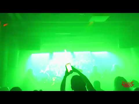 CEREBRAL VORTEX  “Cerebral Vortex"