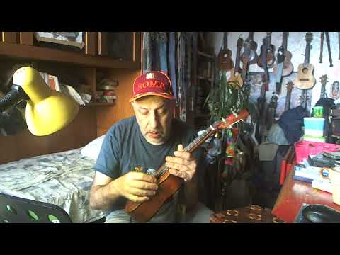 Eko Duo soprano ukulele , a good entry level ukulele D tuning speaking and playing (Hawaiian songs )