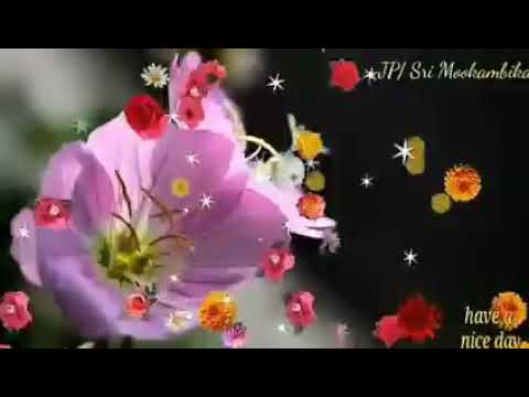 Good Morning Videos Malayalam Song Mp3 Free Download