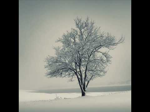 Der Lindenbaum aus Schuberts Winterreise