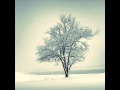 Der Lindenbaum aus Schuberts Winterreise