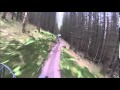 Barney Crash