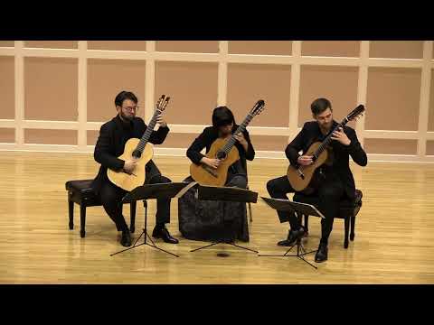 SG3 play Domeniconi 🔥 #live #shorts #guitar #classicalmusic #classicalguitar