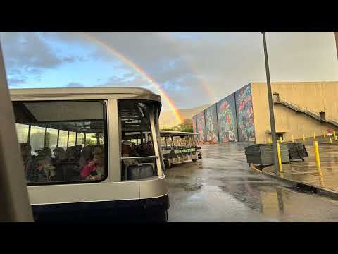 Michel Simone   without you