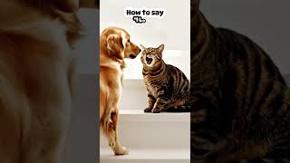 Download lagu How to Say 'I Love You' In Cat Language mp3