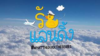 What The Duck The Series