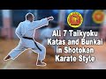 All 7 Taikyoku Katas And Bunkai In Shotokan Karate Style Karate NOKAČI